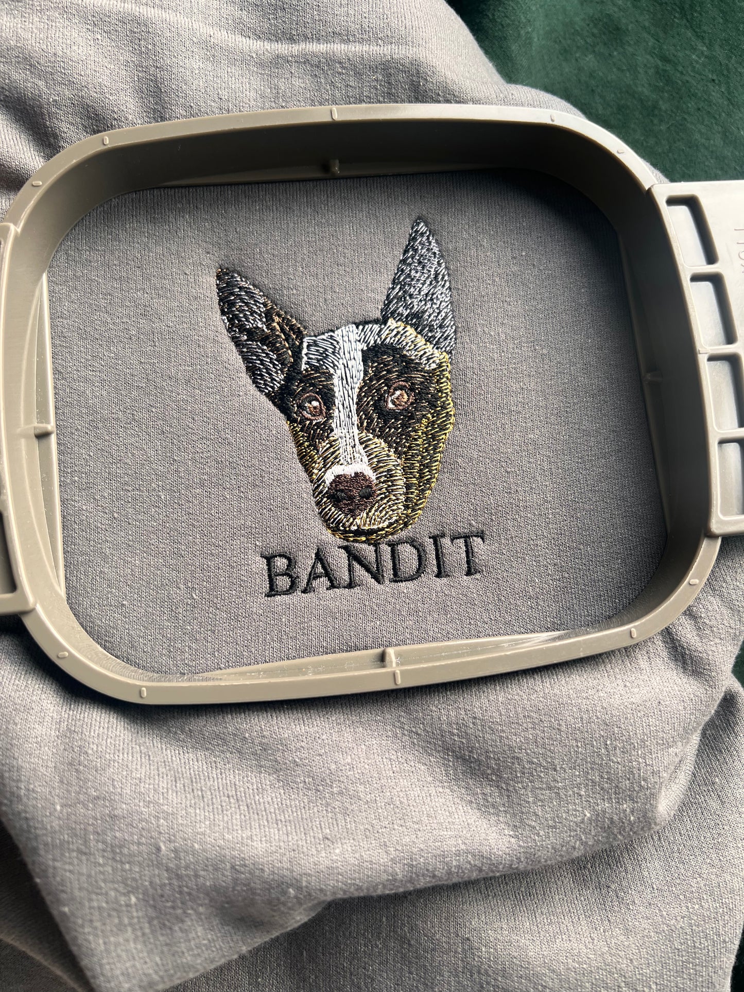 custom embroidered pet crewneck